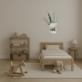 Aloe Vera Bitkisi  Dekoratif Aynalı Tablo - 3