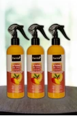 Farnia Kavun & Mango Oda Spreyi 350 Ml Melon & Mango 3 Adet - 1
