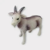 Çiftlik Hayvanları - Keçi thumbnail 2