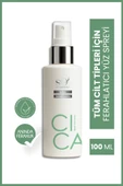 Soi Cica Face Spray – Hassas ve Kuru Ciltler İçin Nemlendirici & Rahatlatıcı Sprey 100 ml - 1