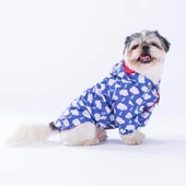 Pawstar Tonitruum Fileli Su Geçirmez Küçük Irk Köpek Yağmurluğu thumbnail 2