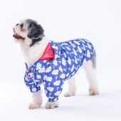 Pawstar Tonitruum Fileli Su Geçirmez Küçük Irk Köpek Yağmurluğu thumbnail 1