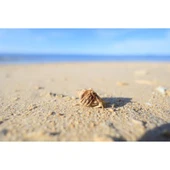 Canon RF 16mm f/2.8 STM Lens thumbnail 7