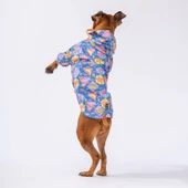 Pawstar Dinosaurum Fileli Su Geçirmez Orta-Büyük Irk Köpek Yağmurluğu thumbnail 2