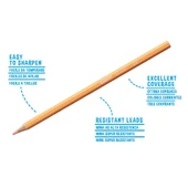 Carioca Pastel Renk Kuru Boya Kalemi 12'Li - 3