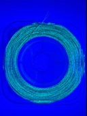 Eagenset Hazır Çapari Kombini Boru Sim Ultraviyole Uv Neon Açık Yeşil Makarada thumbnail 7