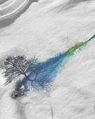 Erkek Beyaz Relaxed Fit %100 Pamuk Tişört – Suluboya Ağaç & Yansıma Baskılı thumbnail 3