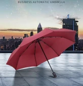 Hadidurmaal Otomatik Bordo Şemsiye thumbnail 1