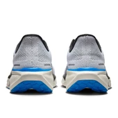 Nike Air Zoom Pegasus 41 HV5218-100 thumbnail 4