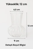 El Yapımı Şeffaf Cam Vazo – Papatya, Gül, Lilyum için Dekoratif Vazo 12 cm - 8
