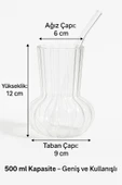 2 Adet Premium Cam Bardak Cam Pipet Hediyeli– Soğuk Kahve, Limonata ve Soda Sunumlar 500 ml - 6