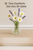 El Yapımı Şeffaf Cam Vazo – Papatya, Gül, Lilyum için Dekoratif Vazo 12 cm - 4