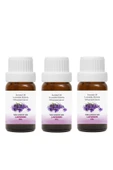 PROCLİS Türk Lavanta Yağı,%100 Doğal Bitkisel Uçucu Yağ, Lavandin Oil, 3'lüi Set 3x10 ml - 1