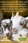 Golden Goat Keçi Devam Sütü 2 Numara 400 gr 6'lı Paket - 5
