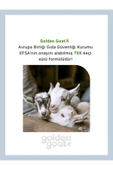 Golden Goat Keçi Devam Sütü 3 Numara 400 Gr4'lü Paket thumbnail 2