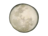 Porland Stoneware Selene 12 Parça 4 Kişilik Yemek Takımı 04SWA000190 thumbnail 2