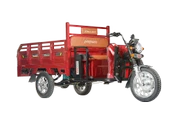 MOTOLUX CARGO44000 KASALI ÜÇ TEKERLEKLİ ELEKTRİKLİ MOTOSİKLET - 1