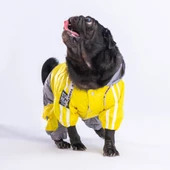 Pawstar BiColor Sarı-Gri Polarlı Su Geçirmez Küçük Irk Köpek Yağmurluk Tulum thumbnail 3