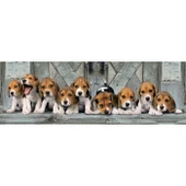 Clementoni Beagles 1000 Parça Sevimli Köpek Yavruları High Quality Collection Yetişkin Puzzle - 2
