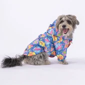 Pawstar Dinosaurum Fileli Su Geçirmez Küçük Irk Köpek Yağmurluğu thumbnail 1