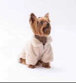 Pawstar Ekru Paris Küçük Irk Köpek Ceketi - 3
