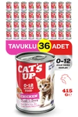 Cats Up Yaş Yavru Kedi Maması Tavuklu 415gr 36Lı thumbnail 1