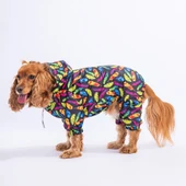 Pawstar Plumis Fileli Su Geçirmez Küçük Irk Köpek Yağmurluk Tulum - 1