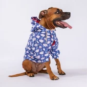 Pawstar Tonitruum Fileli Su Geçirmez Orta-Büyük Irk Köpek Yağmurluğu - 7
