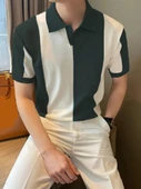 Erkek Kısa Kollu Polo Yakalı Blok Desenli Triko Bluz thumbnail 1