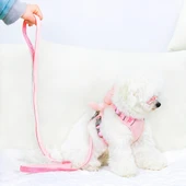 Evcil Hayvan Peluş Ayıcıklı Göğüs Gezdirme Tasması Set thumbnail 4