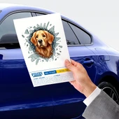 Fulcar Golden Araç Stickerı thumbnail 2