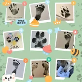 Kedi Köpek Pati İzi Fotoğraf Çerçevesi Seti - 9