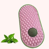 Silikon Kaşıyıcılı Kedi Otu - 5
