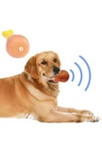 Köpekler İçin Sesli Oyuncak Tavuk Butu thumbnail 1