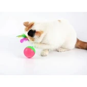 Kedi Fare Hacıyatmaz Oyunu thumbnail 2