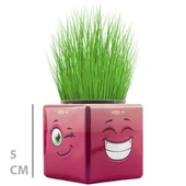 Çim Adam Mini Küp Emoji Figürlü 1 Adet thumbnail 3