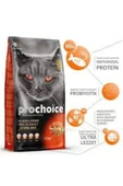 ProChoice Pro Choice 33 Adult Salmon - Shrimp Somonlu Ve Karidesli Kısırlaştırılmış Kedi Maması 15kg - 2