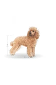 Poodle Yetişkin Kuru Köpek Maması 3kg - 3