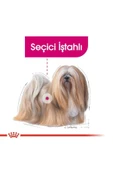Ccn Exigent Seçici Köpek Konservesi 85 Gr 12'Li Paket - 6
