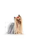 Yorkshire Terrier Yaş Köpek Maması 12 X 85g - 2