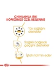 Pouch Chihuahua Adult Yetişkin Köpek Konservesi 6 Adet 85 gr - 3