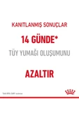 Hairball Care Yetişkin Kedi Maması 2 Kg - 4