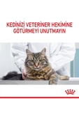 Hairball Care Yetişkin Kedi Maması 2 Kg - 5