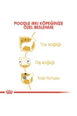 Poodle Yetişkin Kuru Köpek Maması 3kg - 4