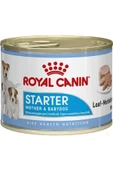 Starter Mousse Mother Babydog 195 Gr 12 Adet - 1