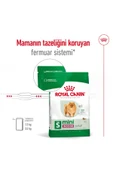 Mını Indoor Adult Küçük Irklar Için Indoor Yetişkin Kuru Köpek Maması 1.5kg - 5