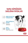 Küçük Irklar için Yavru Yaş Köpek Maması 12 x 85g - 4