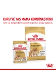 Pomeranian Kuru Köpek Maması 1.5kg - 4