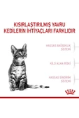 Kitten Sterilised Kısırlaştırılmış Yavru Kedi Maması 2kg thumbnail 5