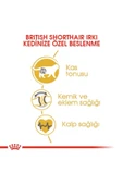 British Shorthair Yetişkin Kedi Maması 2 Kg - 4
